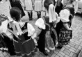/album/fotogaleria/2022-04-hoja-dunda-1-jpg/